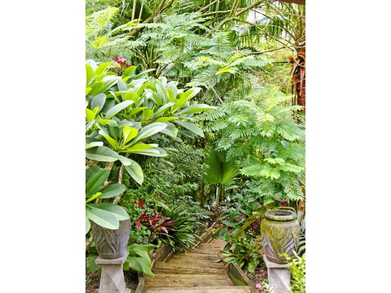 39 Luxton Court, Tallebudgera Valley QLD 4228