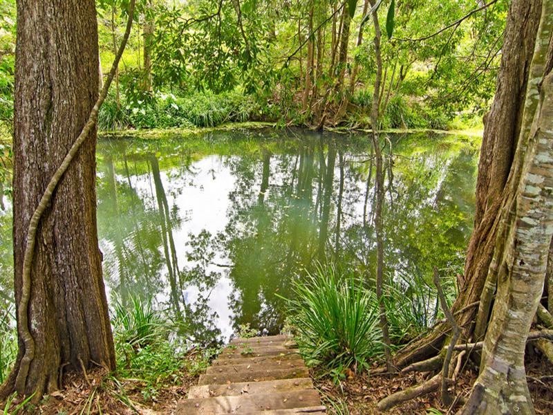 1012 Tallebudgera Creek Road, Tallebudgera Valley QLD 4228