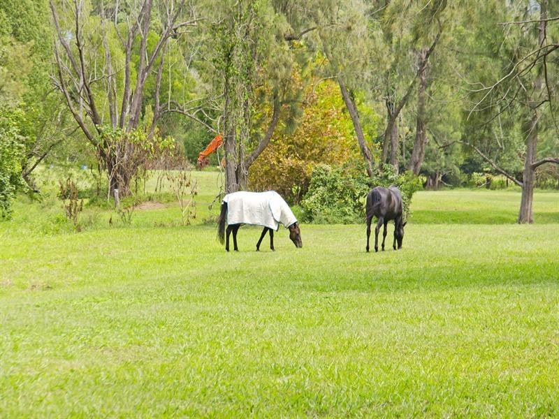 1012 Tallebudgera Creek Road, Tallebudgera Valley QLD 4228