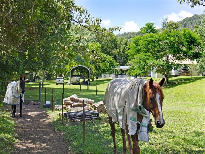 1012 Tallebudgera Creek Road, Tallebudgera Valley QLD 4228