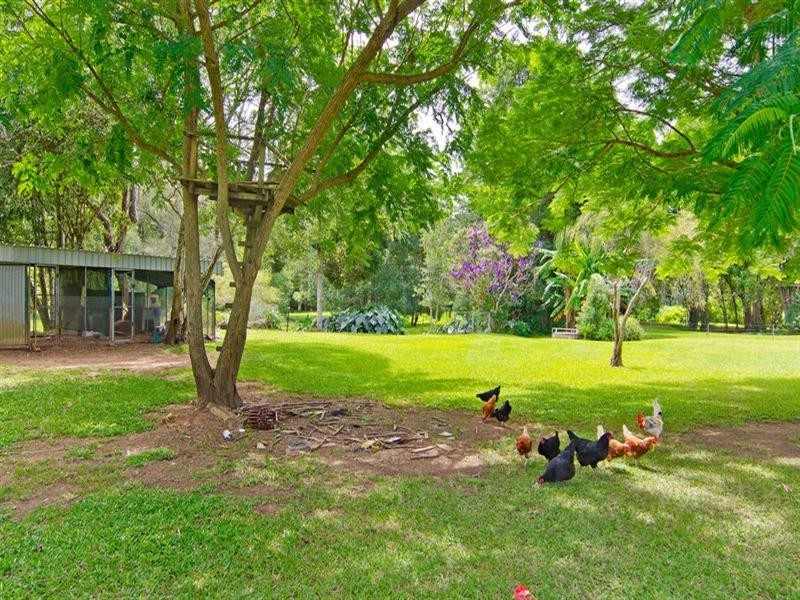 1012 Tallebudgera Creek Road, Tallebudgera Valley QLD 4228