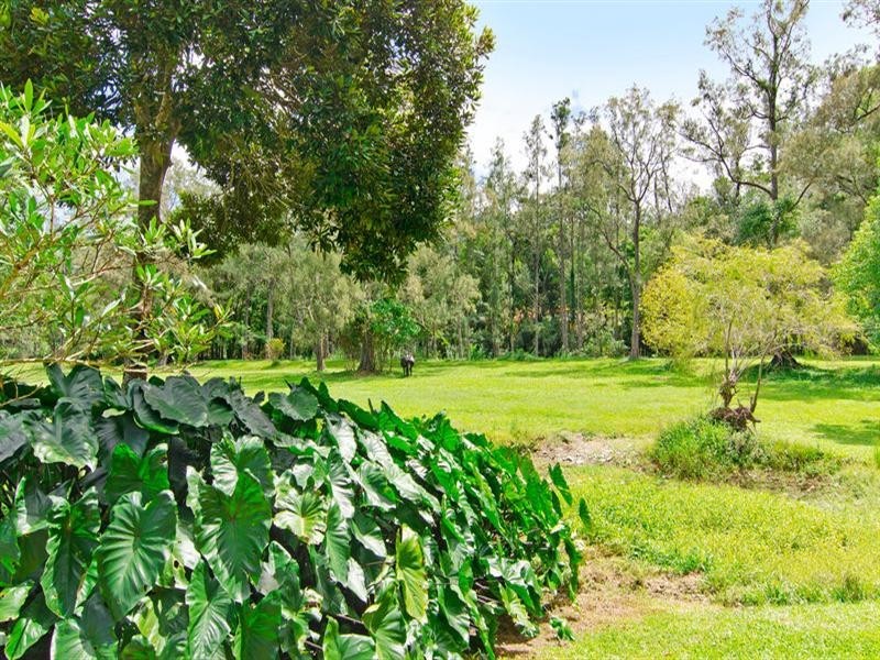1012 Tallebudgera Creek Road, Tallebudgera Valley QLD 4228
