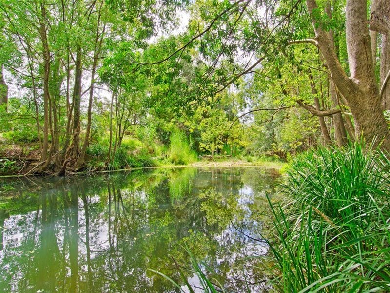 1012 Tallebudgera Creek Road, Tallebudgera Valley QLD 4228