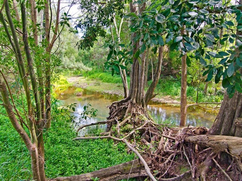 1012 Tallebudgera Creek Road, Tallebudgera Valley QLD 4228