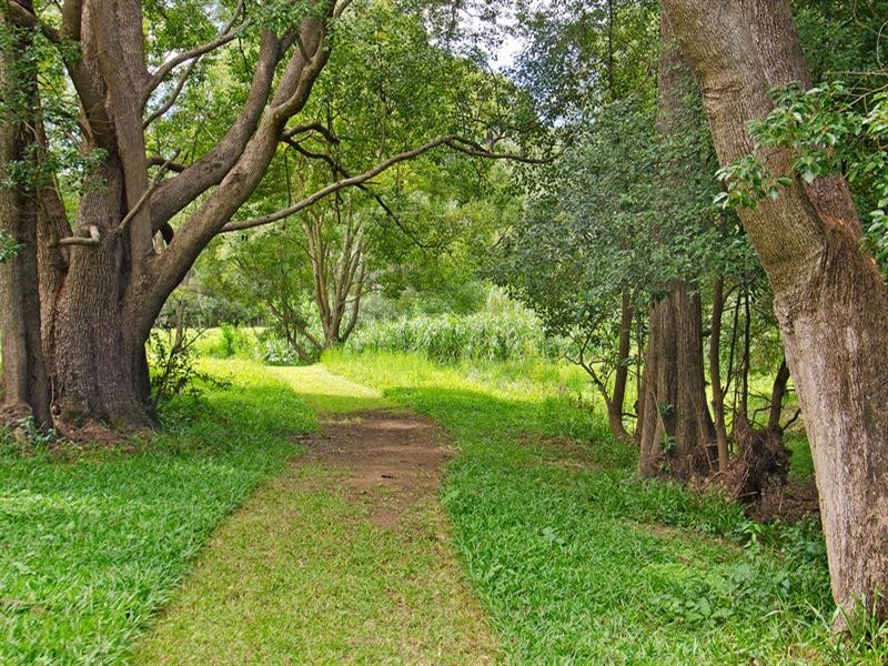 1012 Tallebudgera Creek Road, Tallebudgera Valley QLD 4228