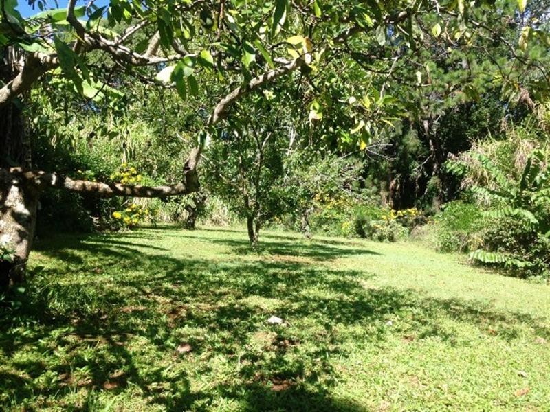 877 Currumbin Creek Road, Currumbin Valley QLD 4223