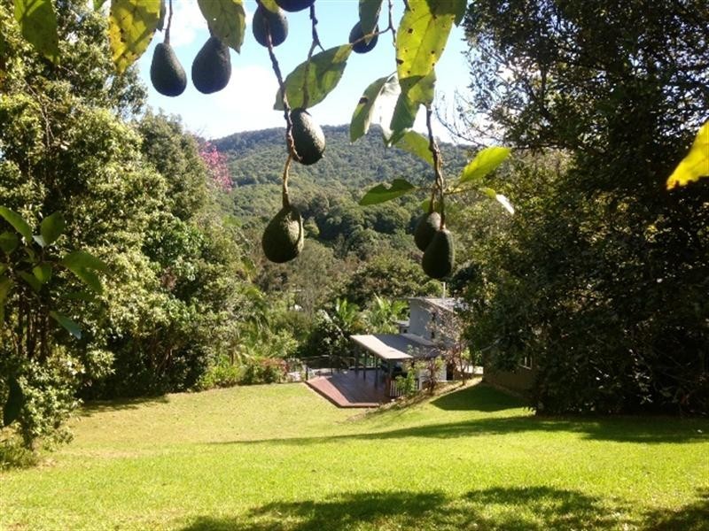 877 Currumbin Creek Road, Currumbin Valley QLD 4223