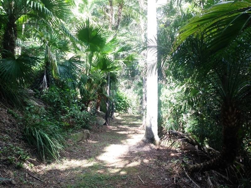 877 Currumbin Creek Road, Currumbin Valley QLD 4223