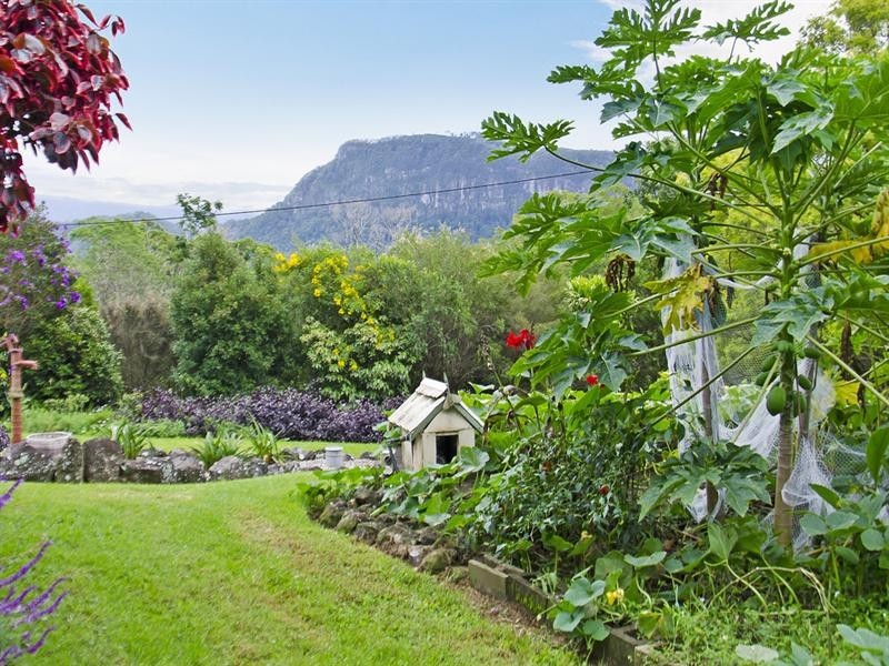 699 Tomewin Mountain Road, Currumbin Valley QLD 4223