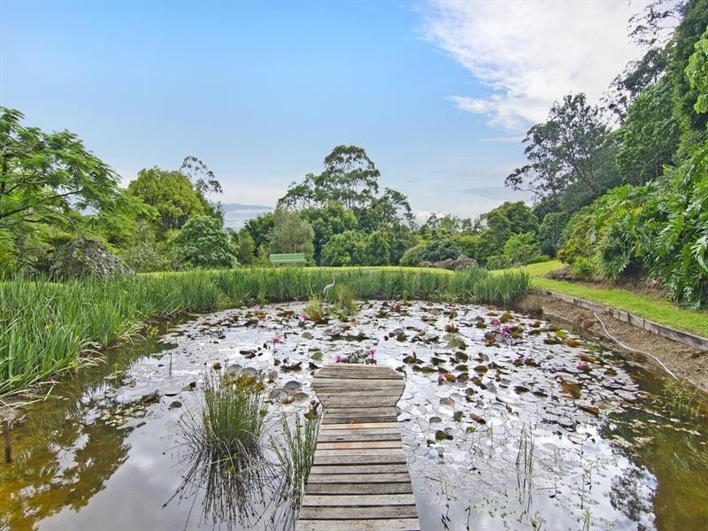 699 Tomewin Mountain Road, Currumbin Valley QLD 4223