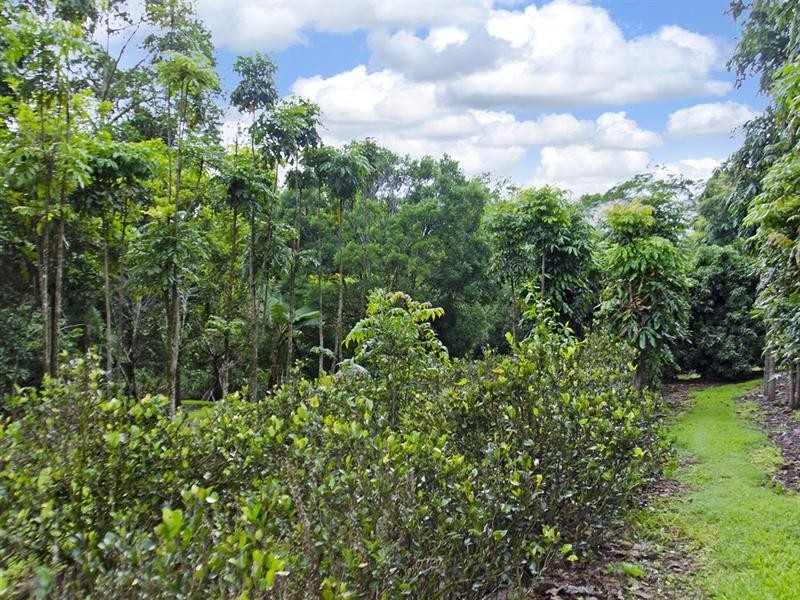 699 Tomewin Mountain Road, Currumbin Valley QLD 4223