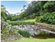 699 Tomewin Mountain Road, Currumbin Valley QLD 4223