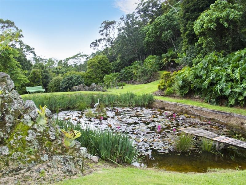 699 Tomewin Mountain Road, Currumbin Valley QLD 4223