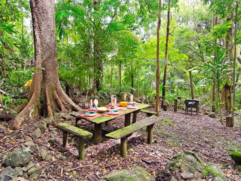 699 Tomewin Mountain Road, Currumbin Valley QLD 4223