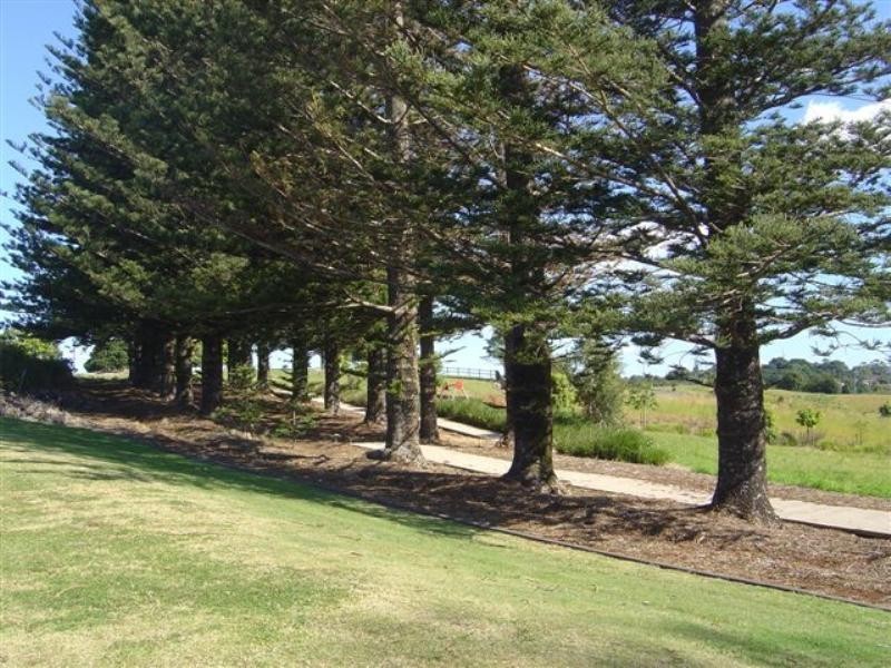 6 Nassau Court, Terranora NSW 2486