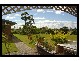 Tugun QLD 4224