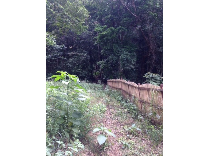 97 Reynolds Road, Currumbin Valley QLD 4223