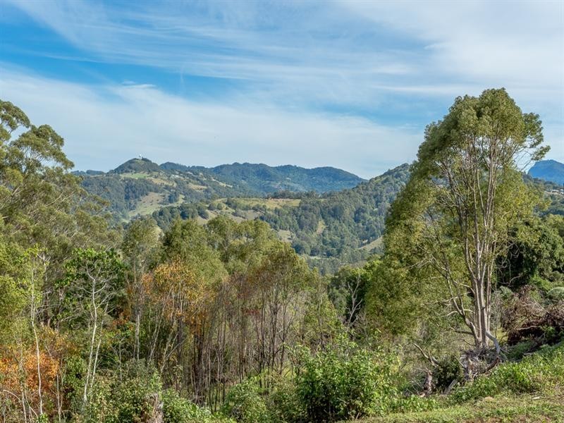 32 Bandana Drive, Piggabeen NSW 2486