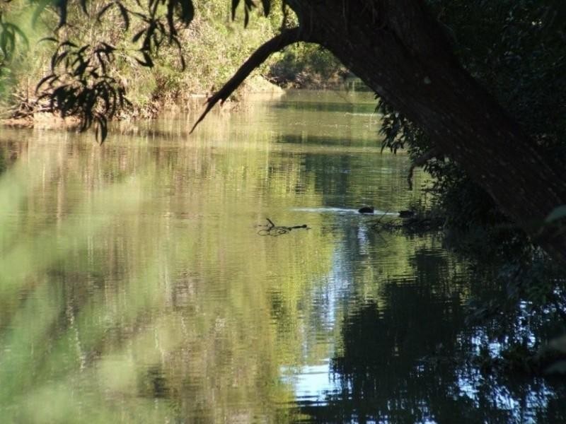 Currumbin Valley QLD 4223