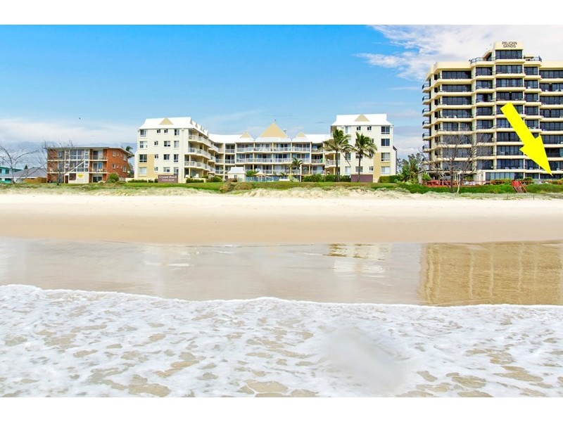 101/337 Golden Four Drive, Tugun QLD 4224