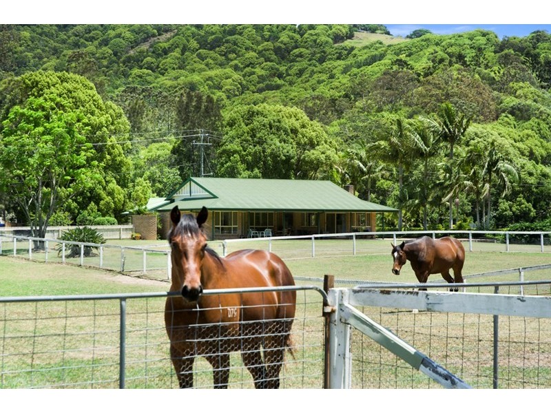 915 Currumbin Creek Road, Currumbin Valley QLD 4223