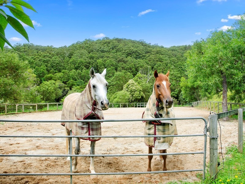 53 Rusty Court, Tallebudgera Valley QLD 4228