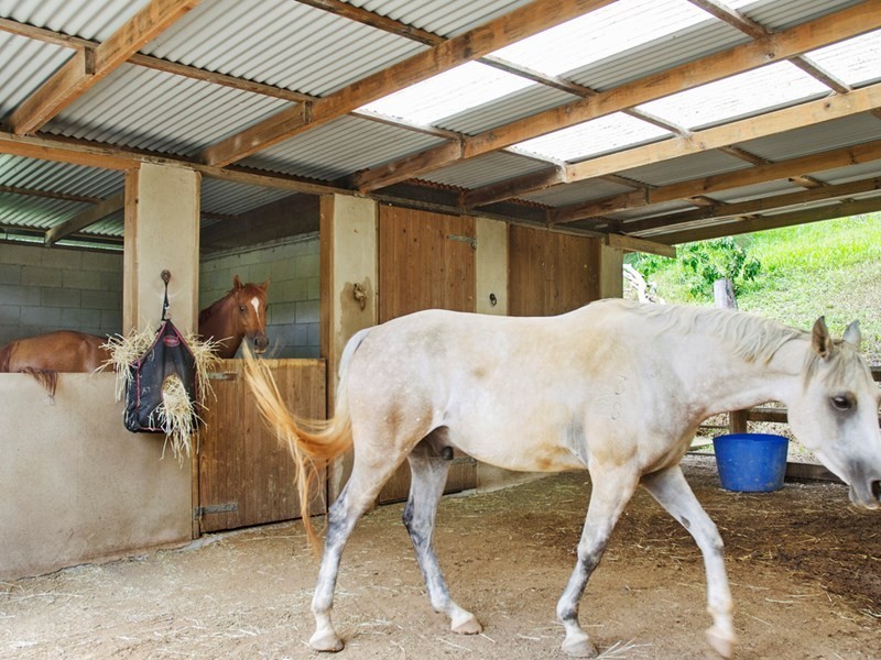 53 Rusty Court, Tallebudgera Valley QLD 4228