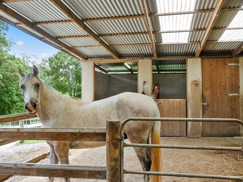 53 Rusty Court, Tallebudgera Valley QLD 4228