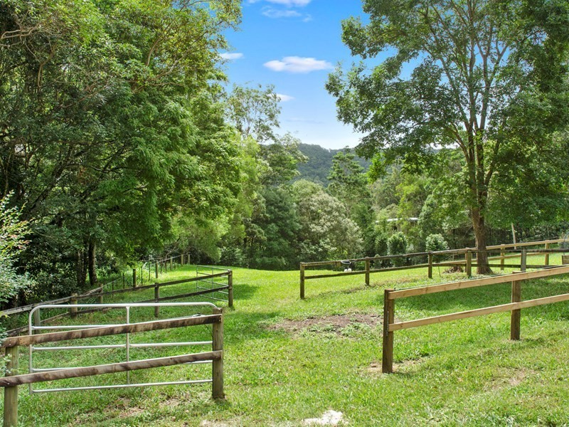 53 Rusty Court, Tallebudgera Valley QLD 4228