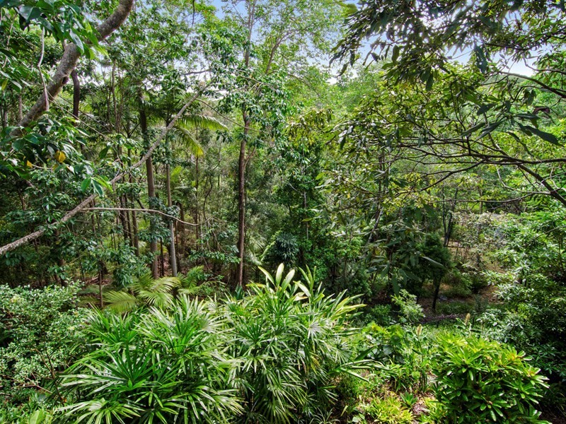 468 Piggabeen Road, Currumbin Valley QLD 4223