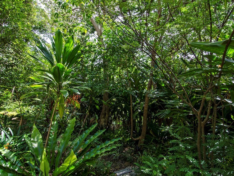 468 Piggabeen Road, Currumbin Valley QLD 4223