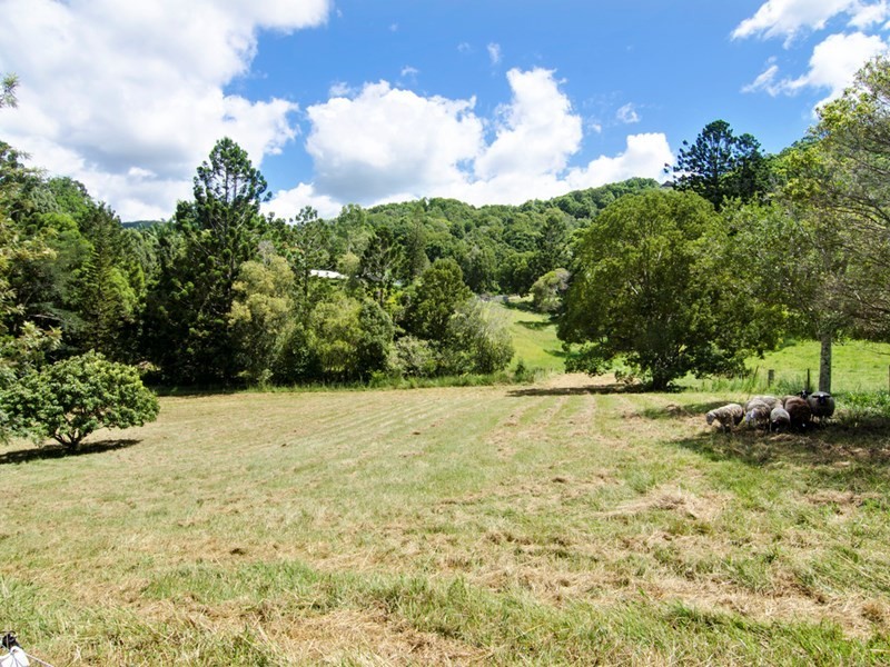 744 Currumbin Creek Road, Currumbin Valley QLD 4223