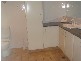 Tugun QLD 4224