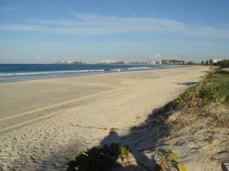 Tugun QLD 4224