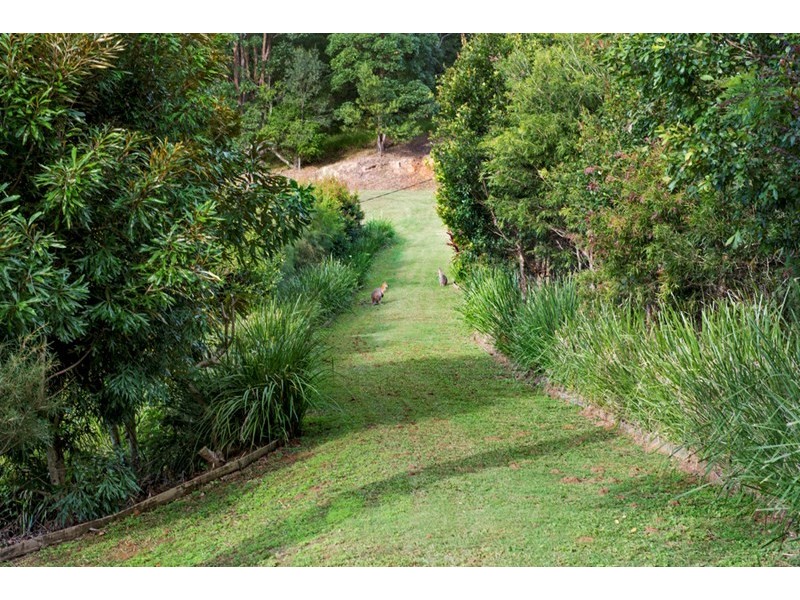 75 Rusty Court, Tallebudgera Valley QLD 4228