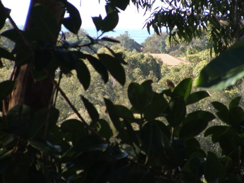 13 Domain Road, Currumbin QLD 4223