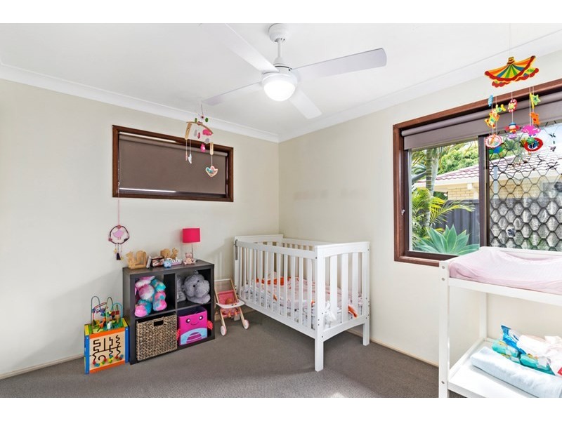 16 Colvillea Court, Palm Beach QLD 4221