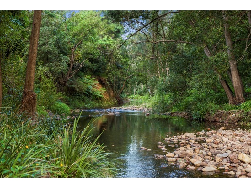 58 Gibsonville Street, Tallebudgera Valley QLD 4228