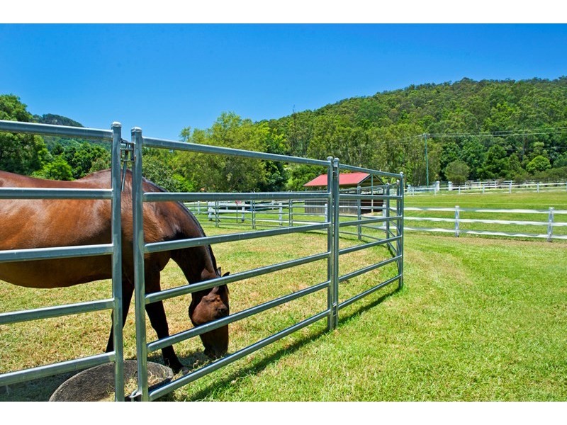 91 Petsch Creek Road, Tallebudgera Valley QLD 4228