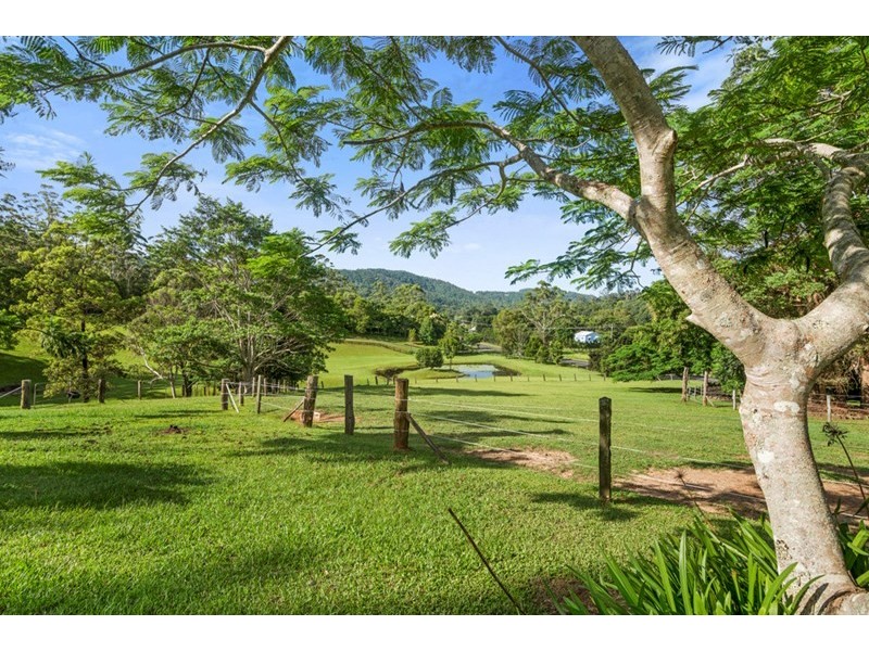 54 Petsch Creek Road, Tallebudgera Valley QLD 4228
