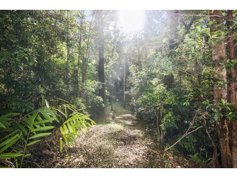 54 Petsch Creek Road, Tallebudgera Valley QLD 4228