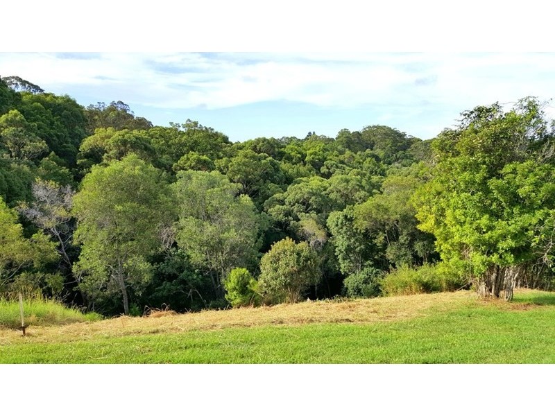 4 Tallowood Terrace, Currumbin Valley QLD 4223