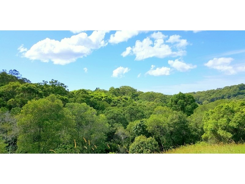 4 Tallowood Terrace, Currumbin Valley QLD 4223