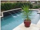 Palm Beach QLD 4221