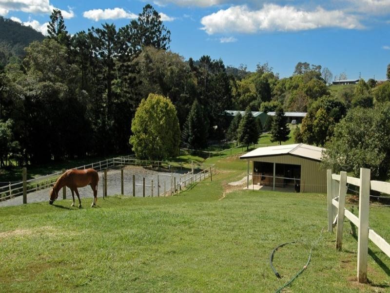Tallebudgera Valley QLD 4228