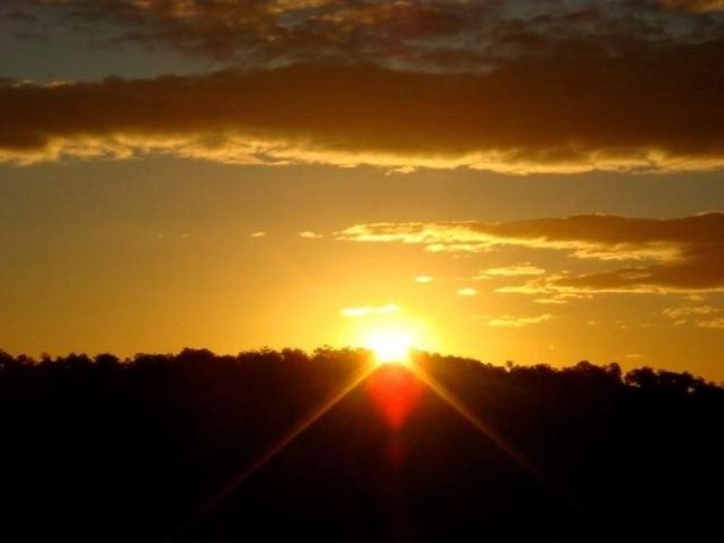 Currumbin Waters QLD 4223