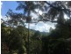678 Tomewin Mountain Road, Currumbin Valley QLD 4223