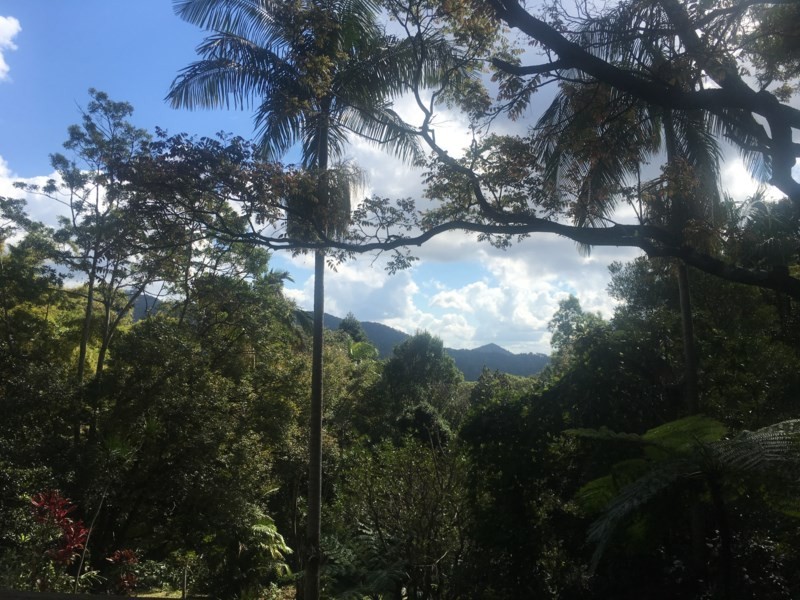 678 Tomewin Mountain Road, Currumbin Valley QLD 4223