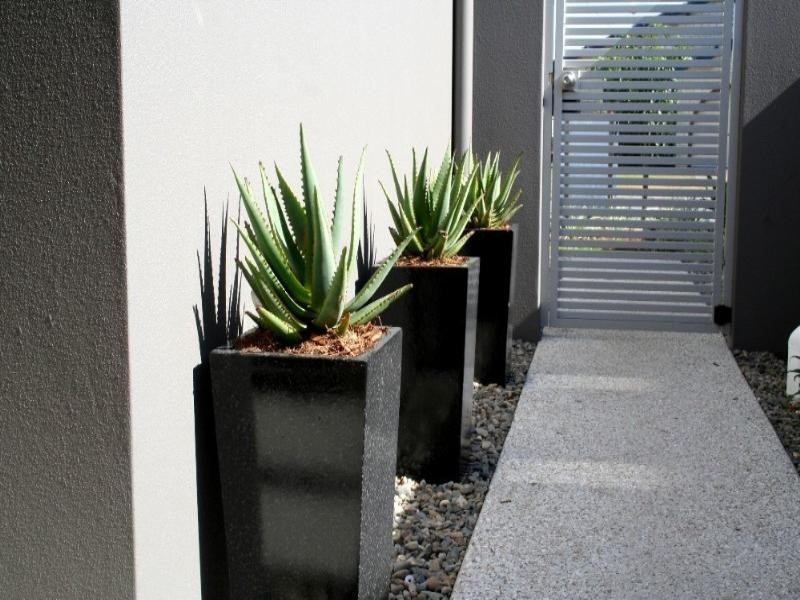 1/6 Barracuda Court, Palm Beach QLD 4221