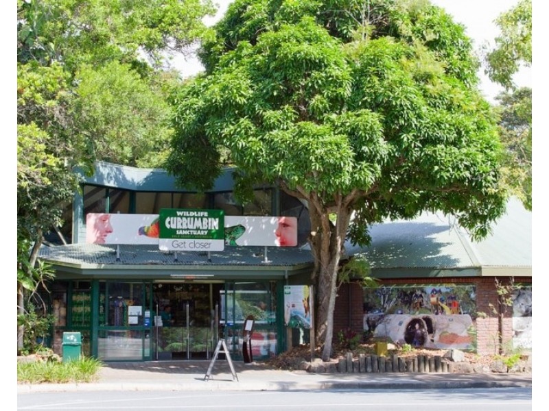 8/560 Gold Coast Highway, Tugun QLD 4224